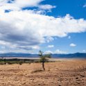 TZA ARU Ngorongoro 2016DEC26 Crater 101 : 2016, 2016 - African Adventures, Africa, Arusha, Crater, Date, December, Eastern, Month, Ngorongoro, Places, Tanzania, Trips, Year